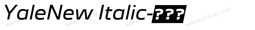 YaleNew Italic字体转换